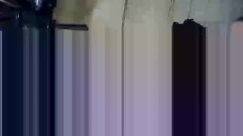 Snapshot of apocolypseanomaly chatting on 12-28-24, 11:59 apocolypseanomaly online show from 12-28-24, 11:59