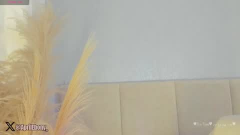 Snapshot of april_ebony18_ chatting on 07-23-26, 11:08 April online show from 07-23-26, 11:08
