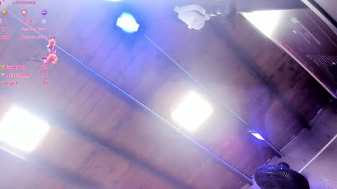 ARI  online show from 01-29-25, 11:41