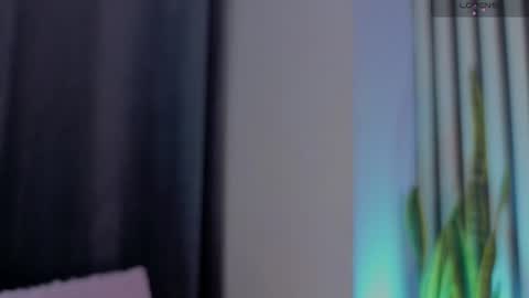 Ariana online show from 07-16-26, 12:00