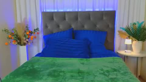 Ariana online show from 02-02-26, 12:09