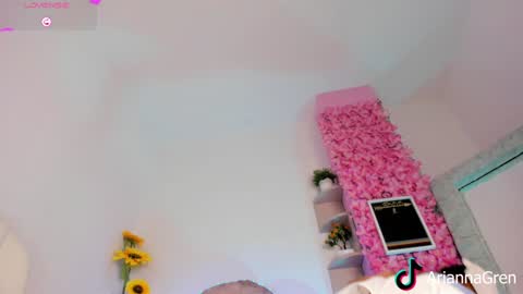 Snapshot of arianna_gren chatting on 12-23-24, 07:20 Arianna online show from 12-23-24, 07:20