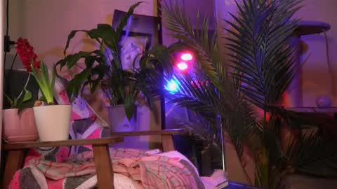 Snapshot of arianna_richi chatting on 03-20-26, 06:40 Olivka online show from 03-20-26, 06:40