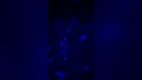 arielanne online show from 07-30-26, 03:27
