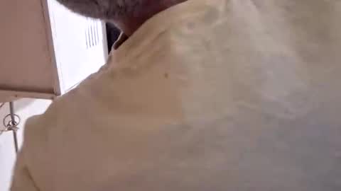 arielferdman online show from 10-28-25, 09:06