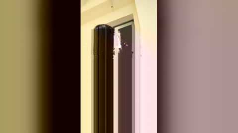 arilavish online show from 04-11-26, 05:34