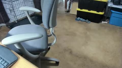 armalite16 online show from 01-16-26, 05:11