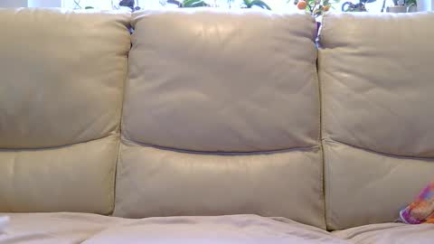 Snapshot of aryton_67 chatting on 01-26-25, 08:25 aryton_67 online show from 01-26-25, 08:25