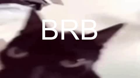 Snapshot of asheluck chatting on 01-17-25, 11:29 AshleyAshe online show from 01-17-25, 11:29