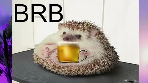 Snapshot of asheluck chatting on 02-16-25, 08:22 AshleyAshe online show from 02-16-25, 08:22