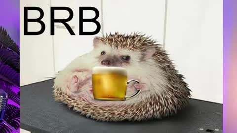 Snapshot of asheluck chatting on 02-16-25, 11:26 AshleyAshe online show from 02-16-25, 11:26