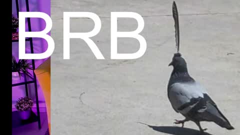 Snapshot of asheluck chatting on 03-07-25, 05:08 AshleyAshe online show from 03-07-25, 05:08