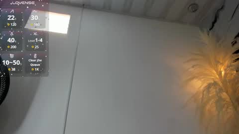 ashley_7777 online show from 03-11-25, 06:08