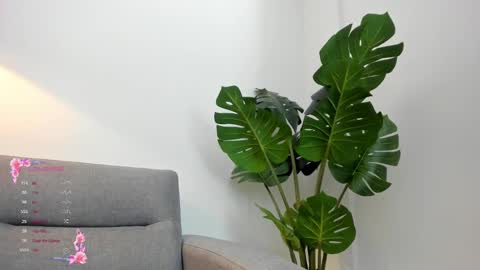 ashllovee online show from 01-23-25, 04:09