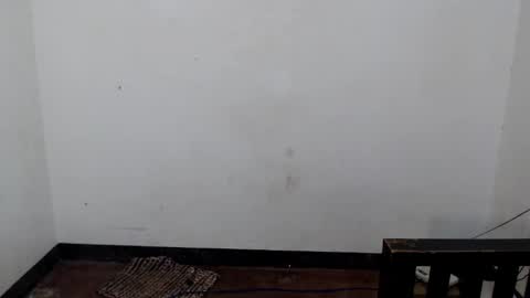 Shane online show from 12-05-25, 06:44