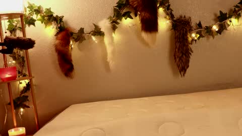 Snapshot of aspie_land chatting on 02-20-26, 02:19 Aspie Land online show from 02-20-26, 02:19