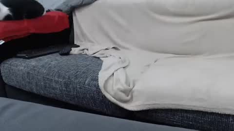 MARCO online show from 01-16-25, 06:59