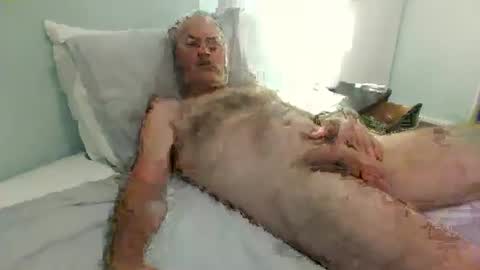 auckland26 online show from 12-02-25, 09:47