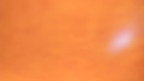 aurelio_pryce online show from 07-31-26, 03:44
