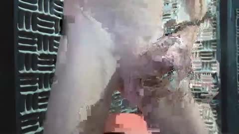 aussieraz online show from 12-16-24, 08:20