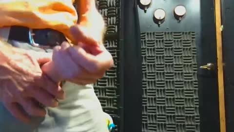 aussieraz online show from 11-04-25, 08:02