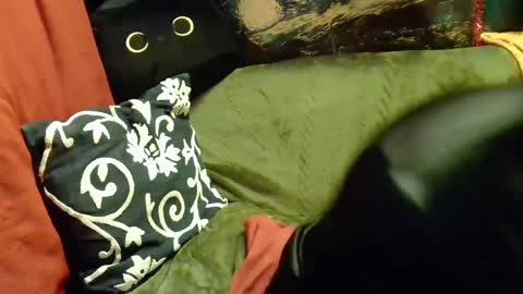 raven blue online show from 02-20-25, 02:46