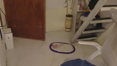 Rhian online show from 06-01-26, 04:58