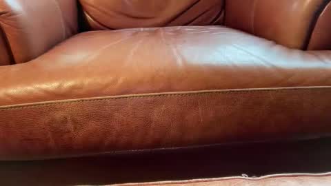 Snapshot of avgdiver chatting on 01-18-26, 08:23 avgdiver online show from 01-18-26, 08:23