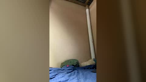 Axell online show from 04-05-26, 01:52