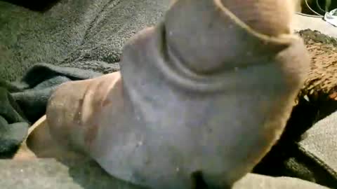 Axelle online show from 11-07-25, 10:21