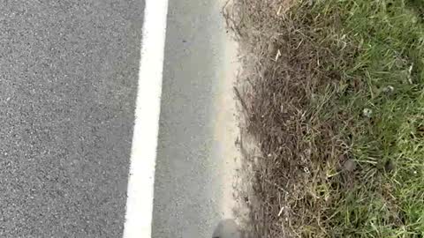 Snapshot of ayla_ty chatting on 03-15-26, 08:15 AylaTy online show from 03-15-26, 08:15