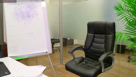 Olivia and Lexi online show from 01-23-25, 12:04