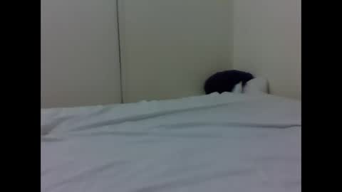 Snapshot of baby_lucky35865 chatting on 04-26-26, 04:37 needoh online show from 04-26-26, 04:37