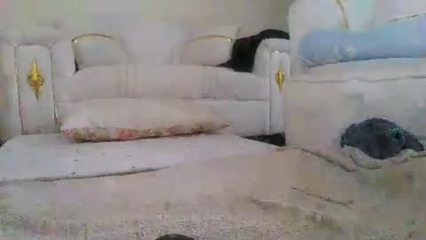baby_smiler online show from 05-24-26, 09:14