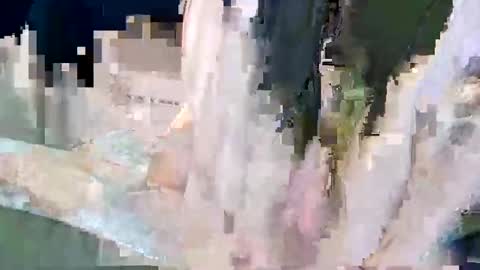 Poindexxxter online show from 12-22-24, 02:49