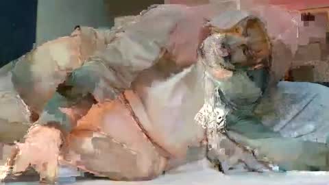 Poindexxxter online show from 02-20-25, 07:08