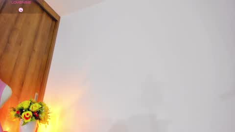 Snapshot of babybriexxx_ chatting on 01-27-25, 01:48 Brianna online show from 01-27-25, 01:48