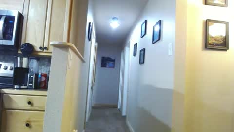 BabyDick online show from 01-21-25, 02:22