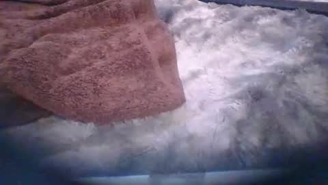 bacchusexx15 online show from 03-30-26, 06:42