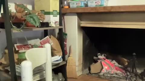 bach online show from 12-12-24, 06:53