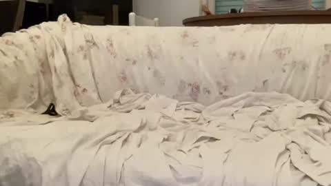 bach online show from 02-12-25, 04:44