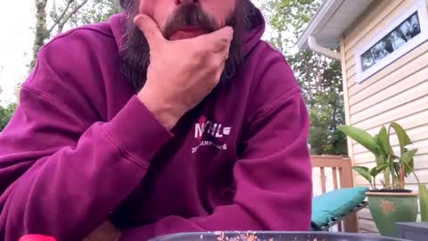 backcheck97 online show from 09-13-25, 10:37