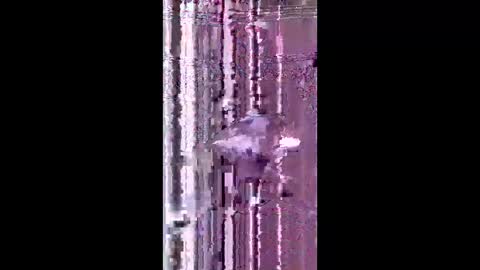 bad_boy2299 online show from 06-02-26, 05:26