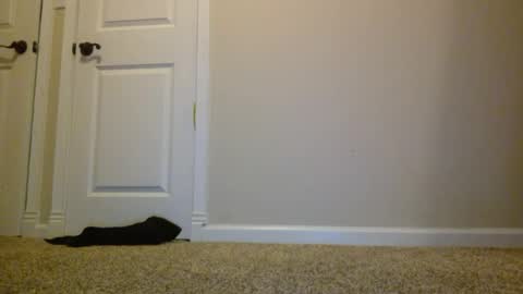 badassguy884159 online show from 08-02-26, 02:10