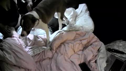 badassrider420 online show from 11-24-25, 03:50