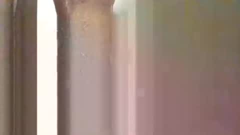 Bad Bb online show from 01-25-25, 11:11