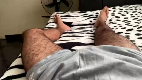 alejo 18cm online show from 06-14-26, 07:27