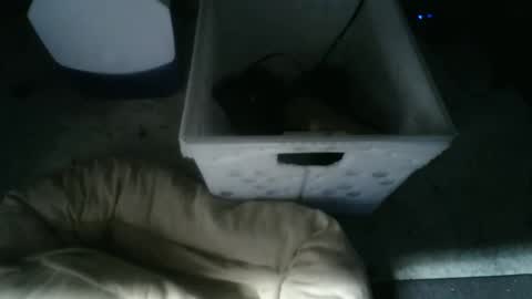 Snapshot of balls_deep_209 chatting on 11-10-25, 09:19 boton online show from 11-10-25, 09:19