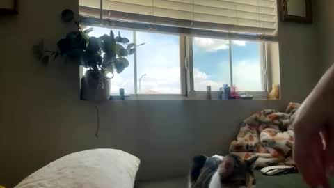 Snapshot of bambi_rae02 chatting on 05-05-26, 10:07 Bambi online show from 05-05-26, 10:07