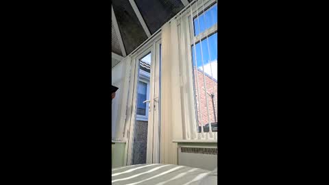 bambifkme online show from 04-08-26, 09:42